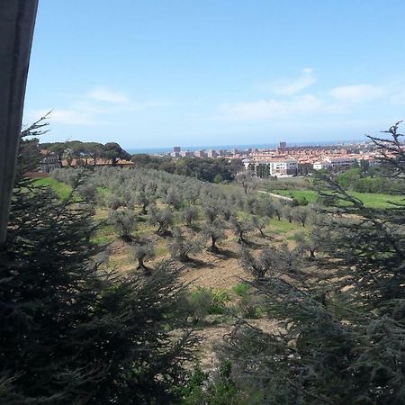 Dolci Ricordi Apartment Livorno Luaran gambar