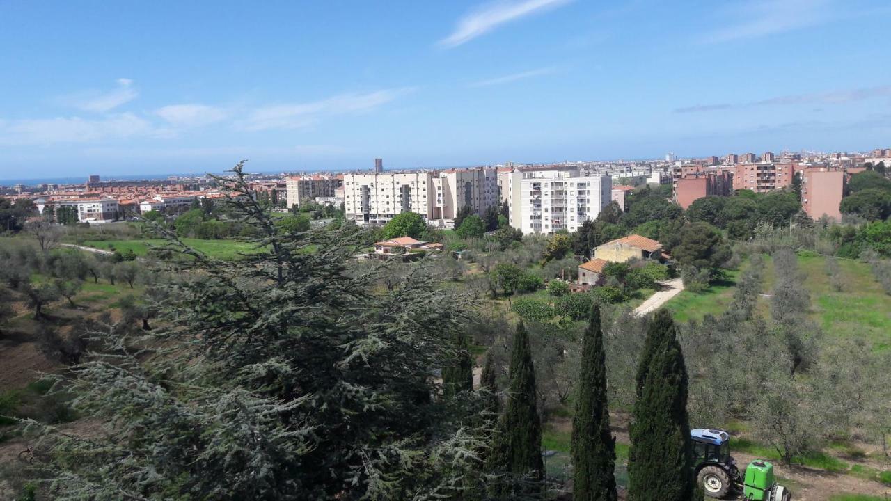 Dolci Ricordi Apartment Livorno Luaran gambar