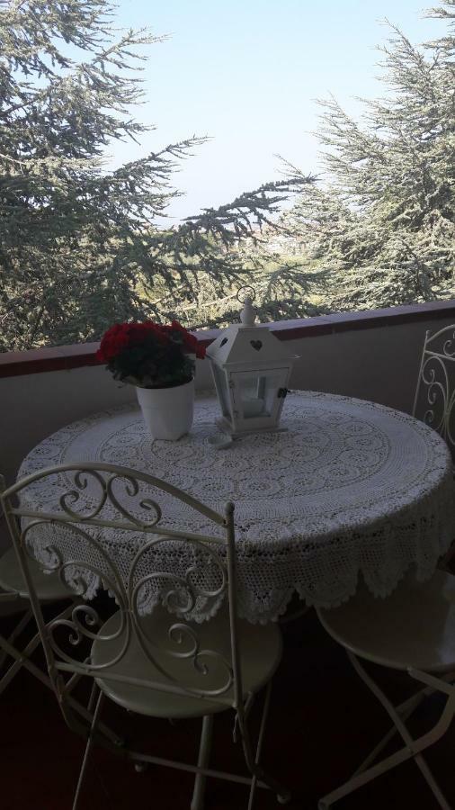 Dolci Ricordi Apartment Livorno Luaran gambar